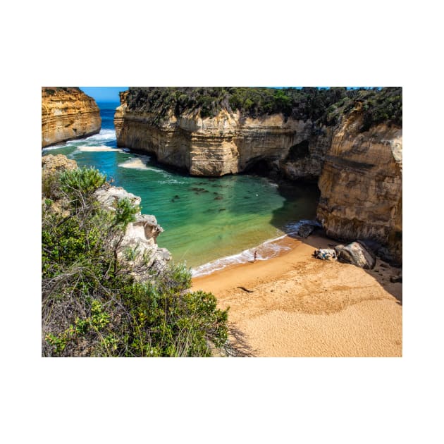 Loch Ard Gorge by charlesk