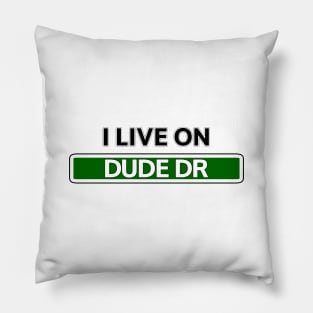 I live on Dude Dr Pillow