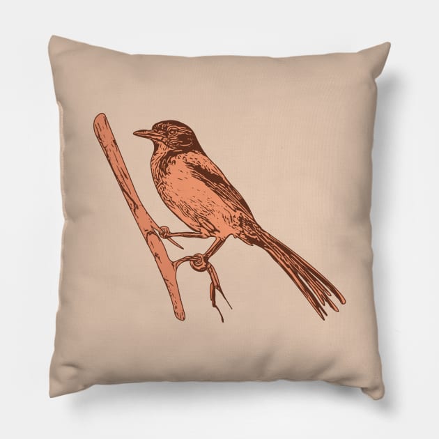 Western Scrub Jay Linocut Style Pillow by Spatium Natura