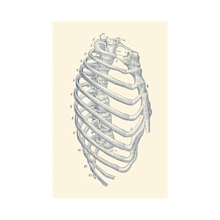 Rib Cage Diagram - Vintage Anatomy Print T-Shirt