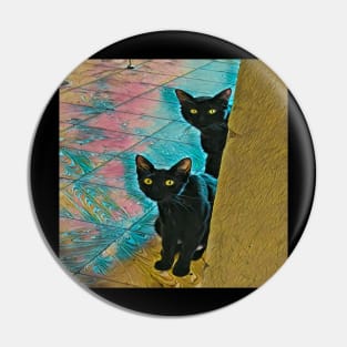 TWO CATS BLACK Pin