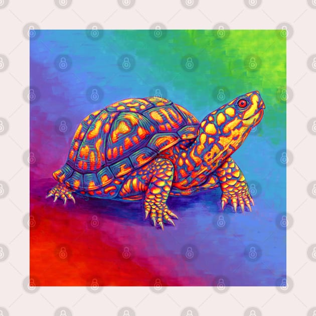 Rainbow Eastern Box Turtle by rebeccawangart