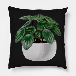 Peperomia argyreia watermelon Pillow