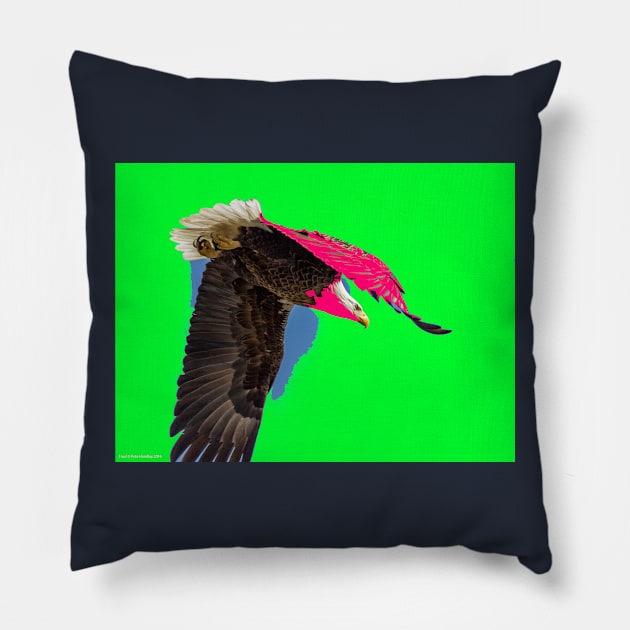 Eagle Flying Free - Fine Art Photo Tee Shirt Pillow by PeteHendleyPhotography