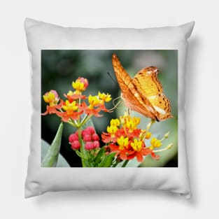 Orange Butterfly on Tropical Lantana Flowers Pillow