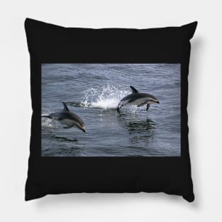 Peale's Dolphins Porpoising Pillow