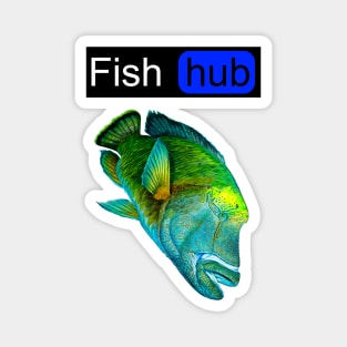 Fish hub napoleon wrasse Magnet