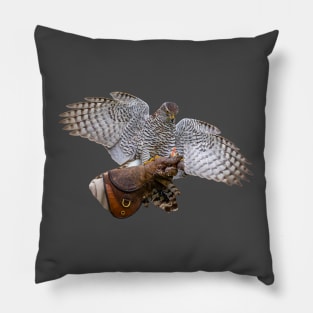 Goshawk about to land Pillow