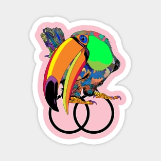 Toucan Empathy Psychedelic Costa Rica Magnet