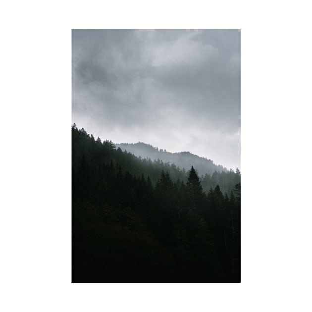 Foggy Moody Forest Landscape by Robtography