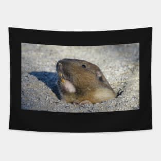 Pocket gopher Tapestry