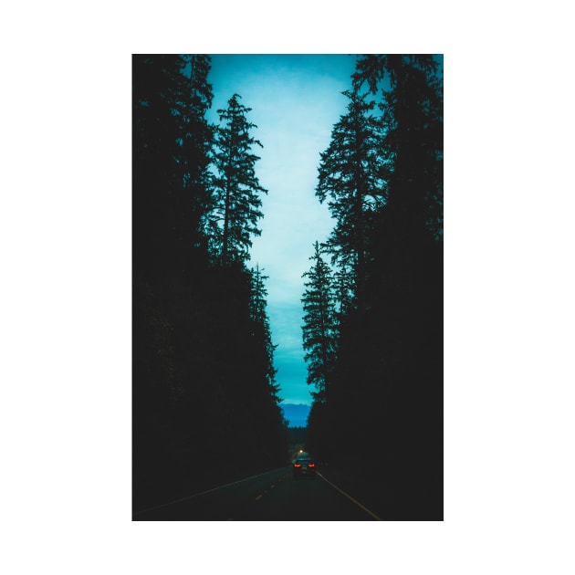 Moody Blue Hour Forest Drive by Robtography