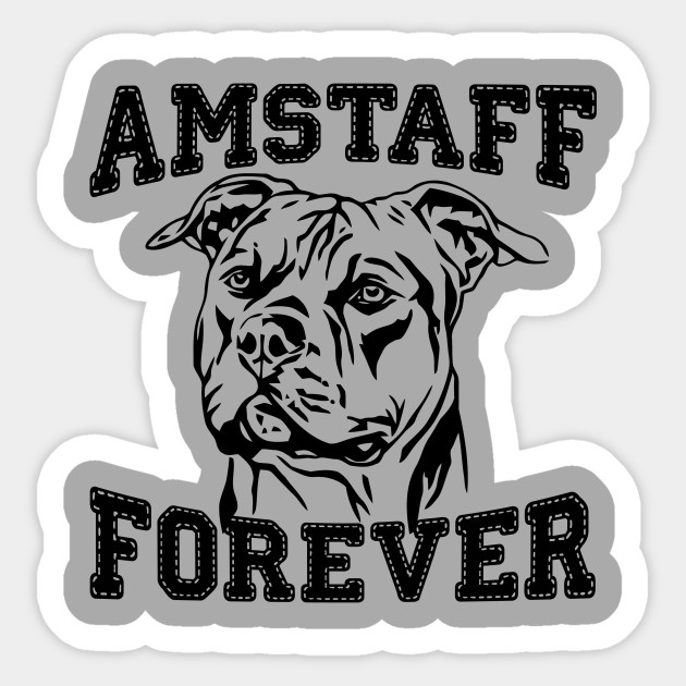 Amstaff Size Chart