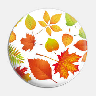 Colourful autumn leaves - Colours of fall season Pin