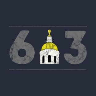 603 Area Code Capitol Region Vintage T-Shirt