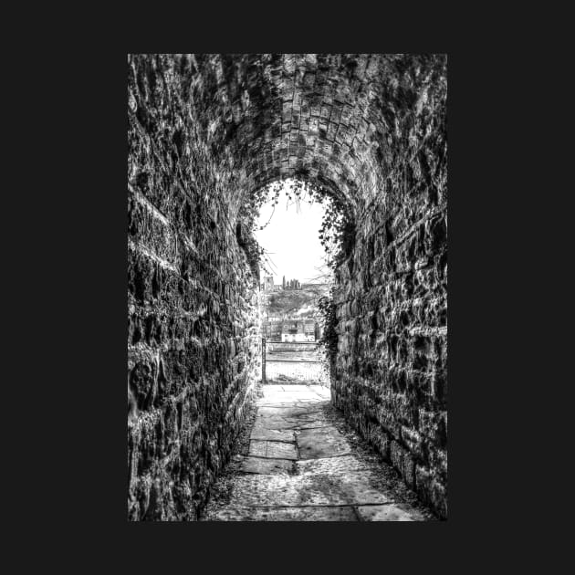 Whitby Abbey Through The Keyhole Tunnel by tommysphotos