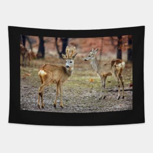 Roe deer family Tapestry