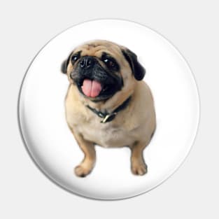 Pug Pull Dog Pet Pin