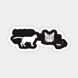 American Shorthair mug Magnet