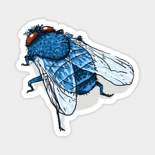 Bugs-10 Blue Fly Magnet