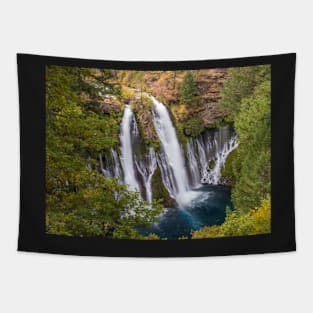 Burney Falls Tapestry