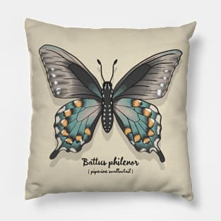 Pipevine Swallowtail Pillow