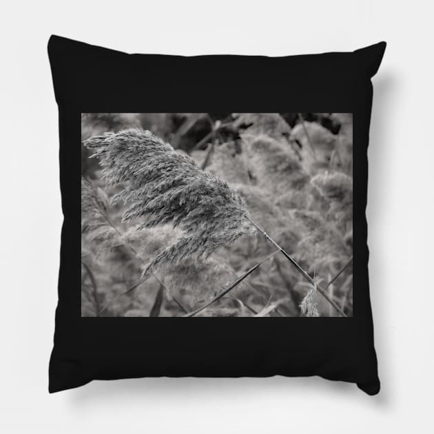 A Winter Wind Pillow by EileenMcVey