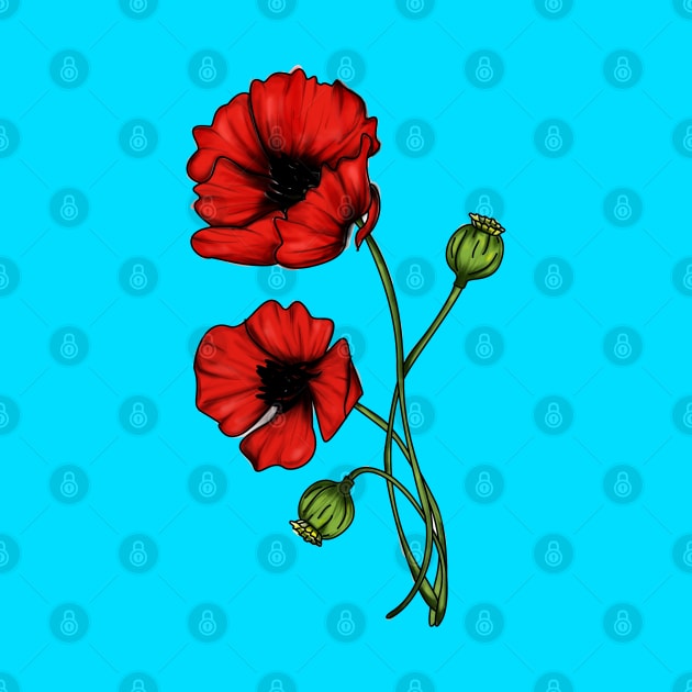 Poppies by Mitalim