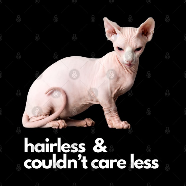 Hairless and Couldn’t Care Less by DD Ventures