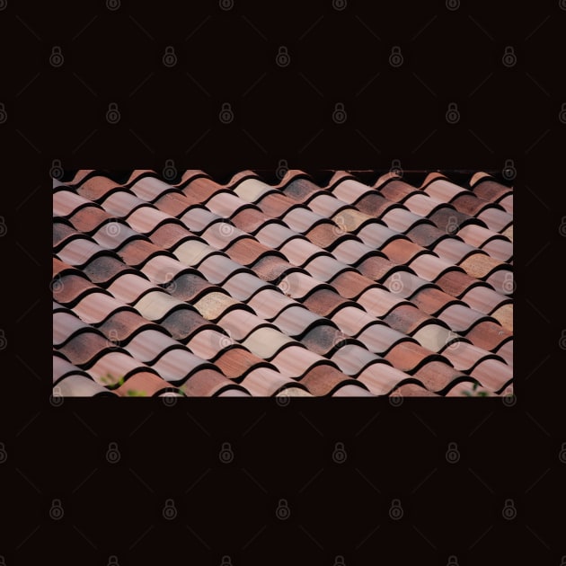 Clay Tile Roof by EllieMae