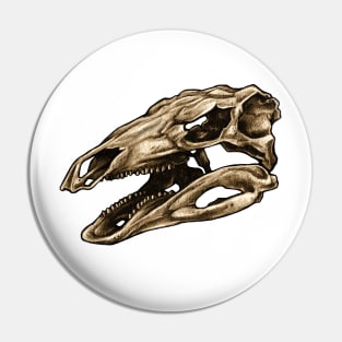 Dinosaur Skull Stegosaurus Pin