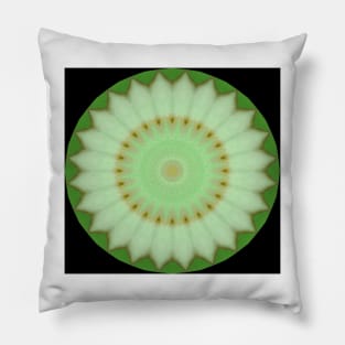 Cabbage Flower Mandala Pillow