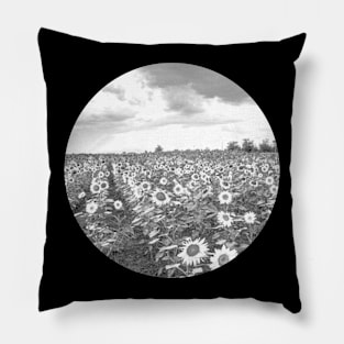 Sunflower field Pillow