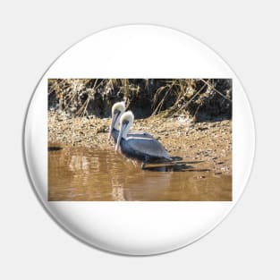 Pelican in Intracoastal Waterway Pin