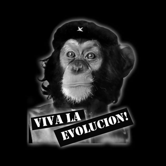 Viva La Evolucion by Gasometer Studio