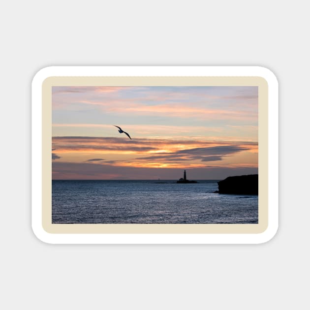 An early bird over St Mary's Island Magnet by Violaman