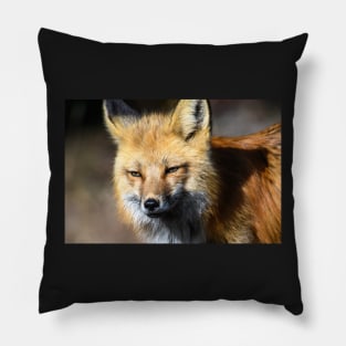 Wild Pillow