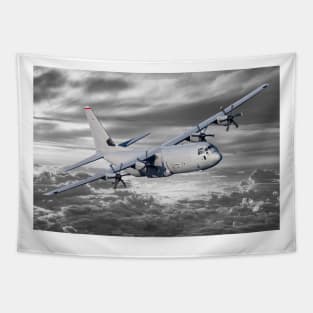 C-130 Tapestry