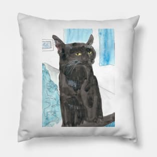 Davy Crockett, Cool Black Cat Pillow