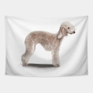 The Bedlington Terrier Dog Tapestry