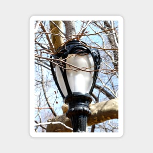 Lamp Post New York Central Park Magnet