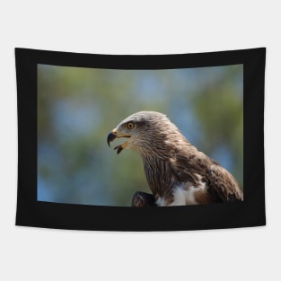 Red Tailed Hawk Tapestry