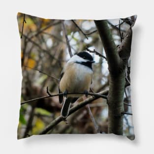 Black-capped Chickadee Perched In A Tree Pillow