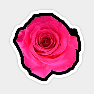 Red Rose Magnet