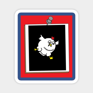 Crazy Chickens Funny Chicken Magnet