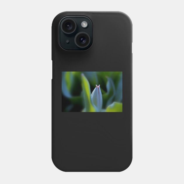 Tulip bud Phone Case by LaurieMinor