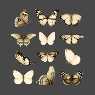 Vintage Black & Cream Butterfly Pattern T-Shirt