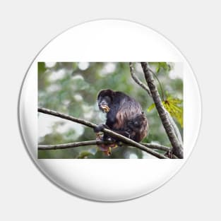 Howler monkey and baby Pin