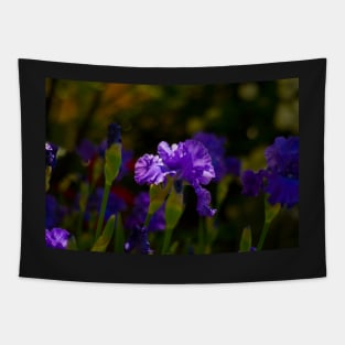 Gladioli Garden Tapestry