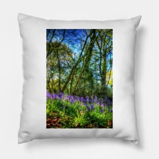 Bluebells Pillow